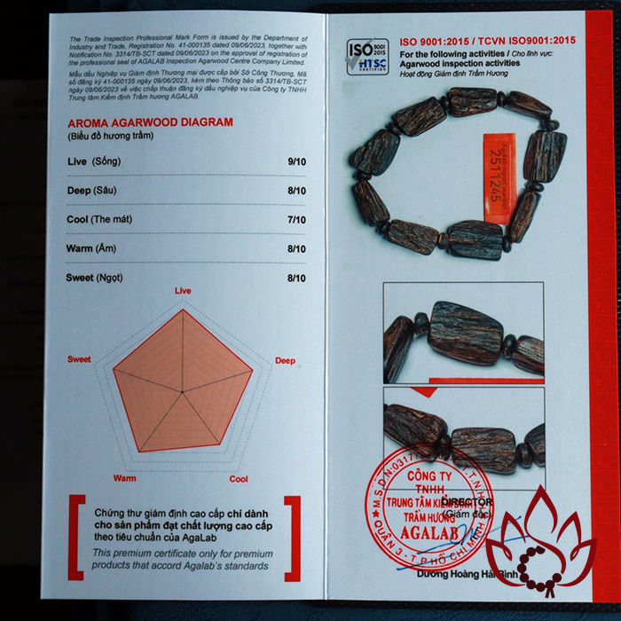 Vòng Trầm Hương Hạt Trúc Thô | Trầm Bì Rễ Chìm Nước